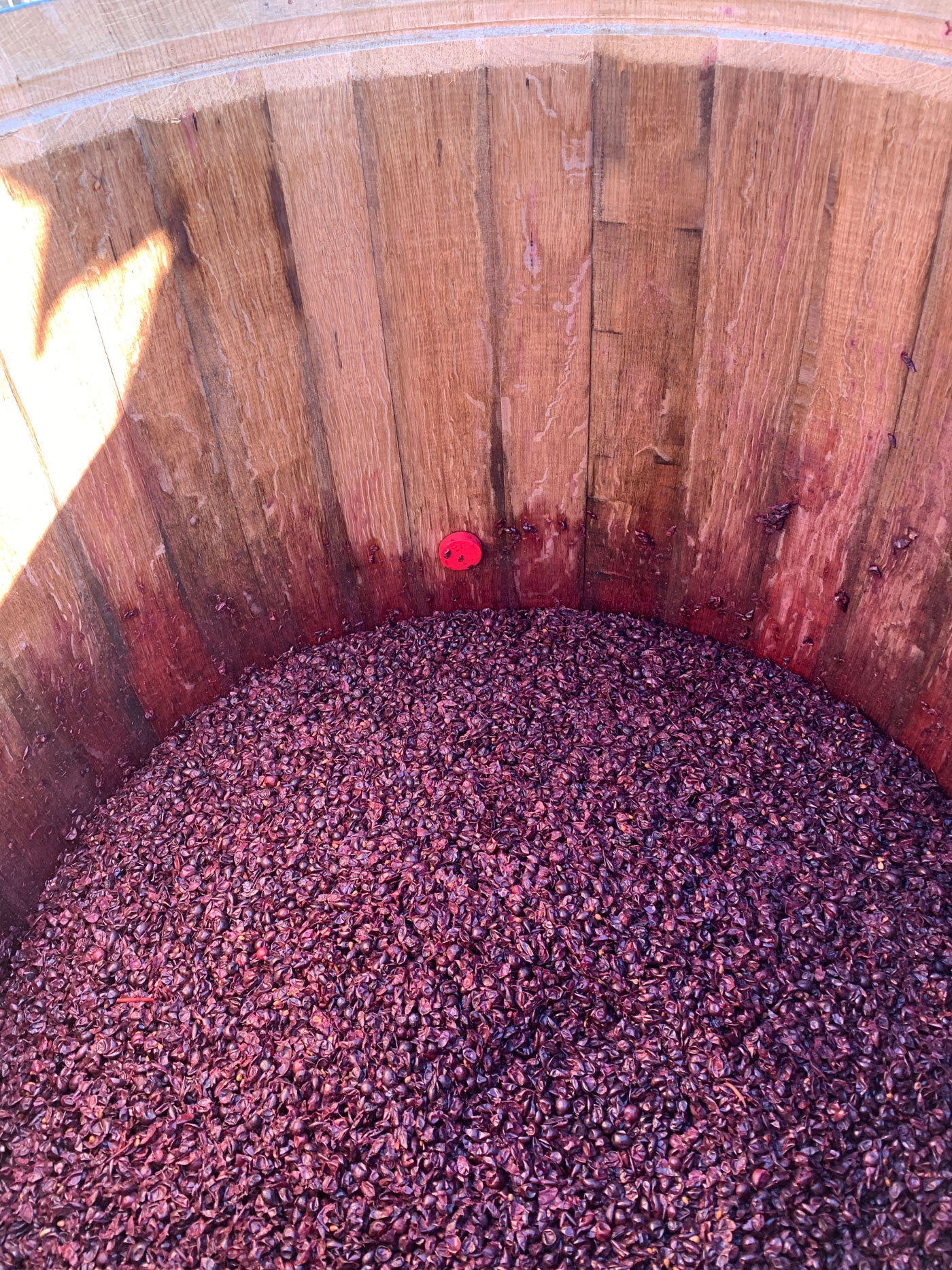 Fermentations in barrel at Rondure wines