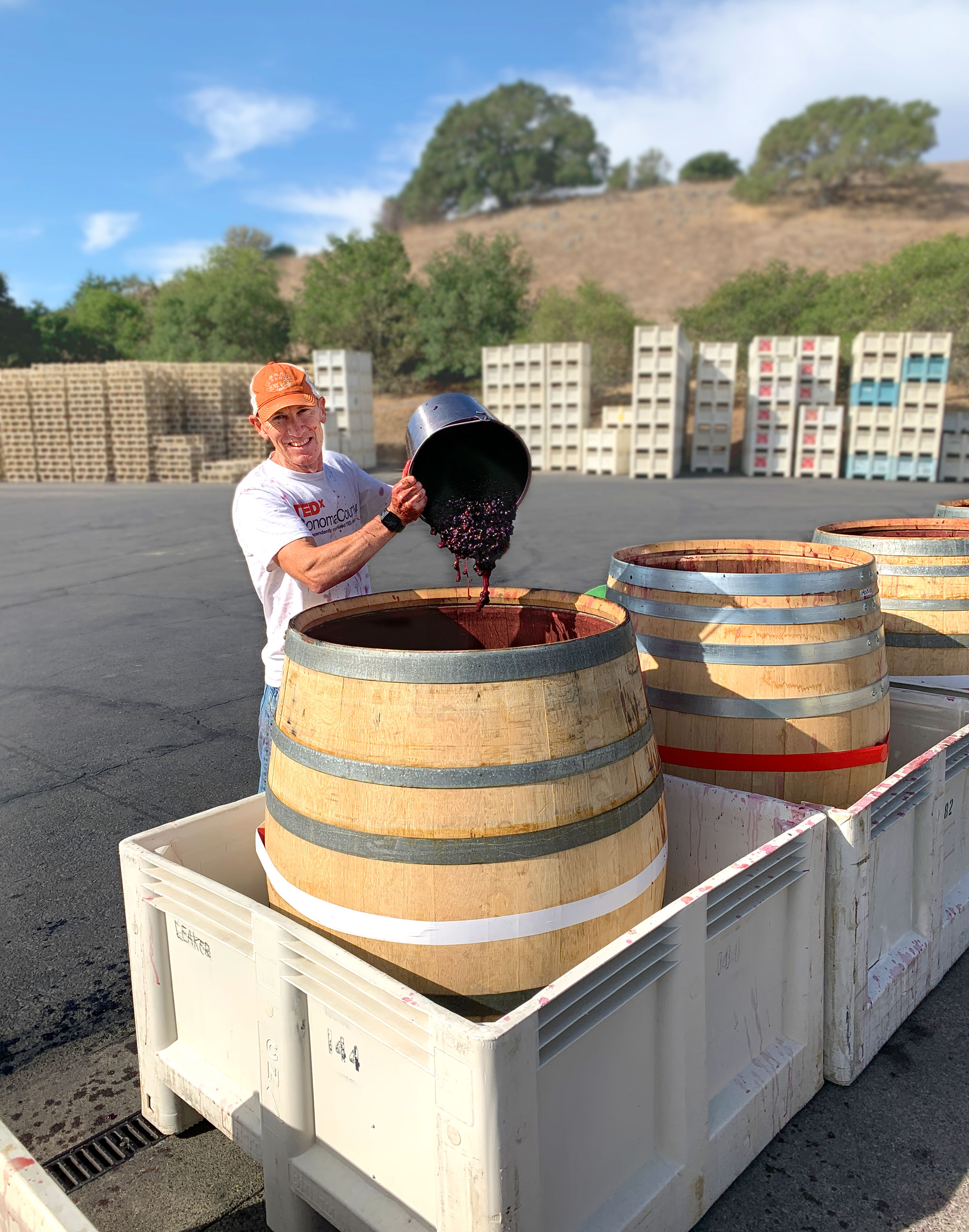 Adding must to the barrels for fermenting at Rondure Wines